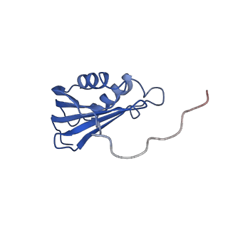 3490_5mdw_p_v1-3
Structure of ArfA(A18T) and RF2 bound to the 70S ribosome (pre-accommodated state)