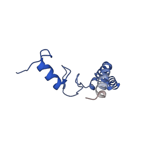 3490_5mdw_s_v1-3
Structure of ArfA(A18T) and RF2 bound to the 70S ribosome (pre-accommodated state)