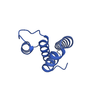 3490_5mdw_t_v1-3
Structure of ArfA(A18T) and RF2 bound to the 70S ribosome (pre-accommodated state)