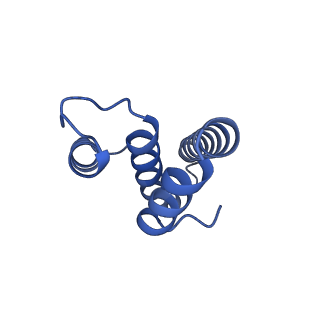 3490_5mdw_t_v2-1
Structure of ArfA(A18T) and RF2 bound to the 70S ribosome (pre-accommodated state)