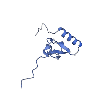 3490_5mdw_x_v1-3
Structure of ArfA(A18T) and RF2 bound to the 70S ribosome (pre-accommodated state)