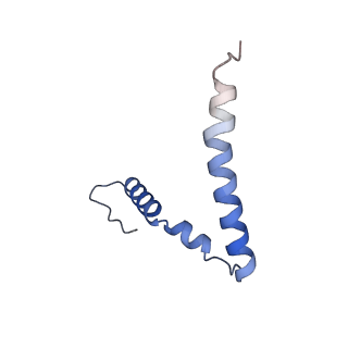 3490_5mdw_z_v1-3
Structure of ArfA(A18T) and RF2 bound to the 70S ribosome (pre-accommodated state)