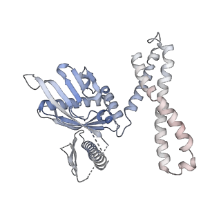 3492_5mdy_7_v1-2
Structure of ArfA and TtRF2 bound to the 70S ribosome (pre-accommodated state)