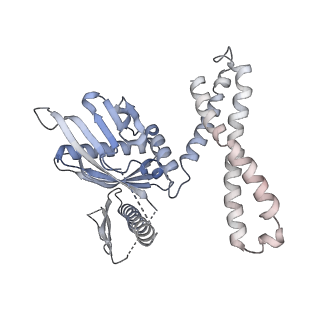 3492_5mdy_7_v2-1
Structure of ArfA and TtRF2 bound to the 70S ribosome (pre-accommodated state)