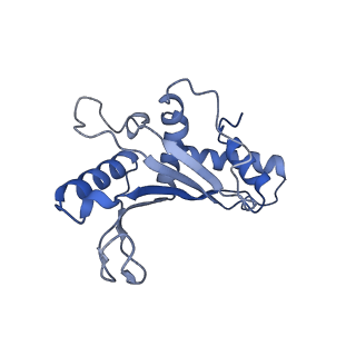 3492_5mdy_E_v1-2
Structure of ArfA and TtRF2 bound to the 70S ribosome (pre-accommodated state)
