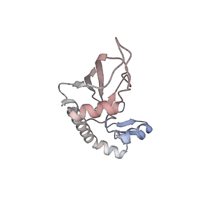 3492_5mdy_G_v1-2
Structure of ArfA and TtRF2 bound to the 70S ribosome (pre-accommodated state)