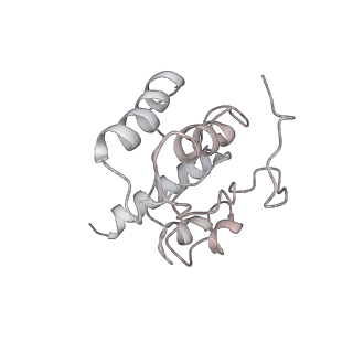 3492_5mdy_H_v1-2
Structure of ArfA and TtRF2 bound to the 70S ribosome (pre-accommodated state)