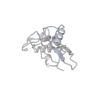 3492_5mdy_I_v1-2
Structure of ArfA and TtRF2 bound to the 70S ribosome (pre-accommodated state)