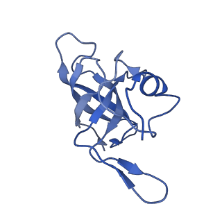 3492_5mdy_K_v1-2
Structure of ArfA and TtRF2 bound to the 70S ribosome (pre-accommodated state)