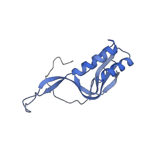 3492_5mdy_M_v1-2
Structure of ArfA and TtRF2 bound to the 70S ribosome (pre-accommodated state)