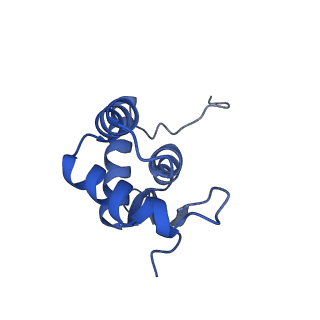 3492_5mdy_N_v1-2
Structure of ArfA and TtRF2 bound to the 70S ribosome (pre-accommodated state)