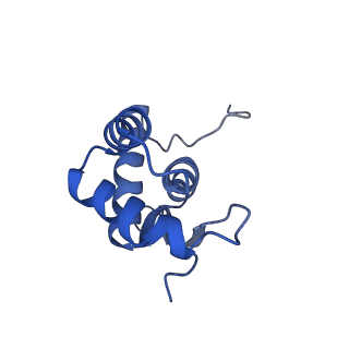 3492_5mdy_N_v2-1
Structure of ArfA and TtRF2 bound to the 70S ribosome (pre-accommodated state)