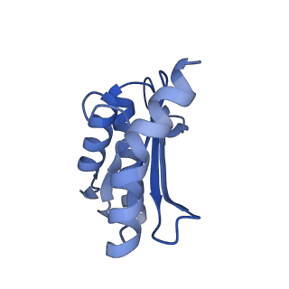 3492_5mdy_O_v1-2
Structure of ArfA and TtRF2 bound to the 70S ribosome (pre-accommodated state)