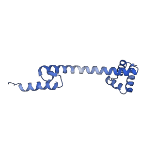 3492_5mdy_Q_v1-2
Structure of ArfA and TtRF2 bound to the 70S ribosome (pre-accommodated state)