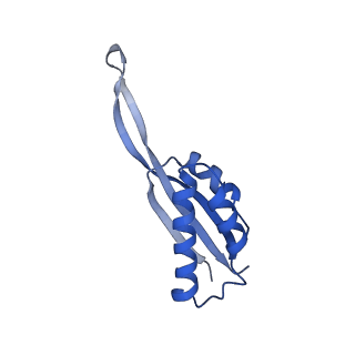 3492_5mdy_S_v2-1
Structure of ArfA and TtRF2 bound to the 70S ribosome (pre-accommodated state)