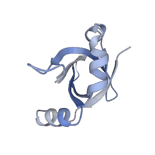 3492_5mdy_V_v1-2
Structure of ArfA and TtRF2 bound to the 70S ribosome (pre-accommodated state)