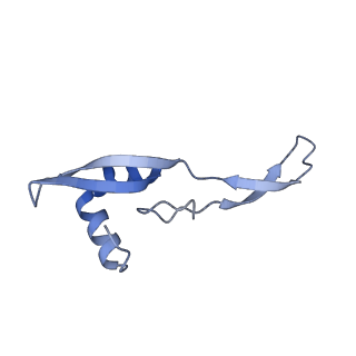 3492_5mdy_X_v1-2
Structure of ArfA and TtRF2 bound to the 70S ribosome (pre-accommodated state)