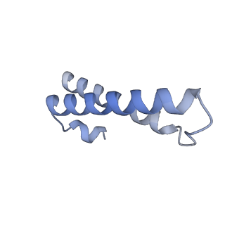 3492_5mdy_Y_v1-2
Structure of ArfA and TtRF2 bound to the 70S ribosome (pre-accommodated state)