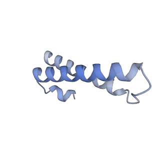 3492_5mdy_Y_v2-1
Structure of ArfA and TtRF2 bound to the 70S ribosome (pre-accommodated state)
