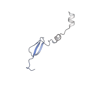 3492_5mdy_a_v1-2
Structure of ArfA and TtRF2 bound to the 70S ribosome (pre-accommodated state)