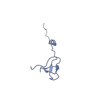 3492_5mdy_b_v1-2
Structure of ArfA and TtRF2 bound to the 70S ribosome (pre-accommodated state)