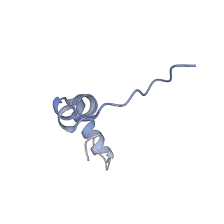 3492_5mdy_d_v1-2
Structure of ArfA and TtRF2 bound to the 70S ribosome (pre-accommodated state)
