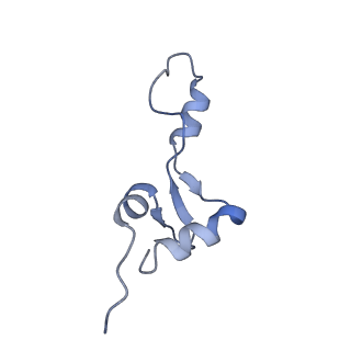 3492_5mdy_e_v1-2
Structure of ArfA and TtRF2 bound to the 70S ribosome (pre-accommodated state)