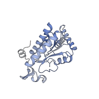 3492_5mdy_g_v1-2
Structure of ArfA and TtRF2 bound to the 70S ribosome (pre-accommodated state)