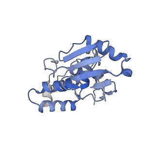 3492_5mdy_i_v1-2
Structure of ArfA and TtRF2 bound to the 70S ribosome (pre-accommodated state)