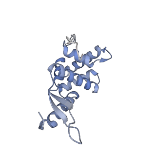 3492_5mdy_l_v1-2
Structure of ArfA and TtRF2 bound to the 70S ribosome (pre-accommodated state)