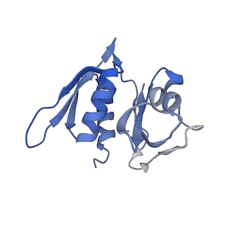 3492_5mdy_m_v1-2
Structure of ArfA and TtRF2 bound to the 70S ribosome (pre-accommodated state)