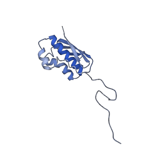 3492_5mdy_n_v1-2
Structure of ArfA and TtRF2 bound to the 70S ribosome (pre-accommodated state)