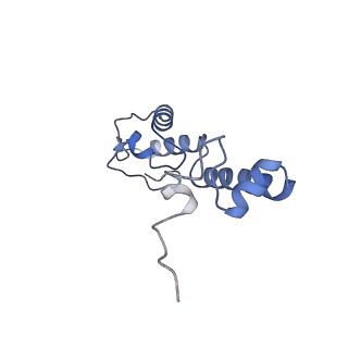 3492_5mdy_r_v1-2
Structure of ArfA and TtRF2 bound to the 70S ribosome (pre-accommodated state)
