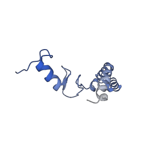 3492_5mdy_s_v1-2
Structure of ArfA and TtRF2 bound to the 70S ribosome (pre-accommodated state)