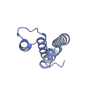 3492_5mdy_t_v1-2
Structure of ArfA and TtRF2 bound to the 70S ribosome (pre-accommodated state)