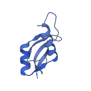 3492_5mdy_u_v2-1
Structure of ArfA and TtRF2 bound to the 70S ribosome (pre-accommodated state)