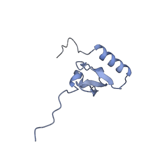 3492_5mdy_x_v1-2
Structure of ArfA and TtRF2 bound to the 70S ribosome (pre-accommodated state)