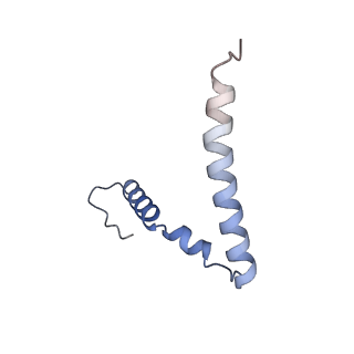 3492_5mdy_z_v1-2
Structure of ArfA and TtRF2 bound to the 70S ribosome (pre-accommodated state)
