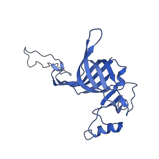 3493_5mdz_C_v1-3
Structure of the 70S ribosome (empty A site)