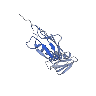 3493_5mdz_F_v2-2
Structure of the 70S ribosome (empty A site)