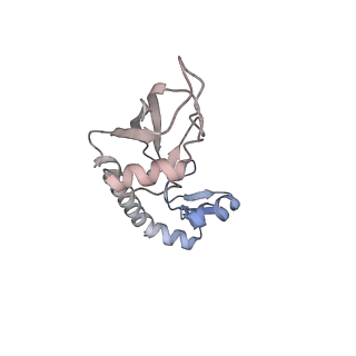 3493_5mdz_G_v1-3
Structure of the 70S ribosome (empty A site)