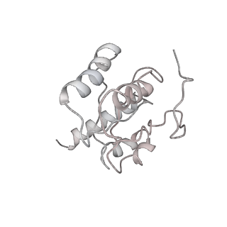 3493_5mdz_H_v1-3
Structure of the 70S ribosome (empty A site)