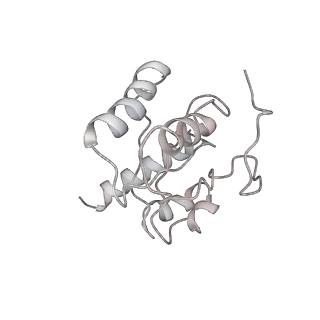 3493_5mdz_H_v2-2
Structure of the 70S ribosome (empty A site)