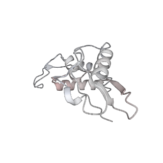 3493_5mdz_I_v1-3
Structure of the 70S ribosome (empty A site)
