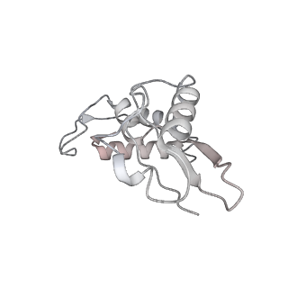 3493_5mdz_I_v2-2
Structure of the 70S ribosome (empty A site)