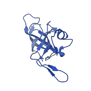 3493_5mdz_K_v1-3
Structure of the 70S ribosome (empty A site)