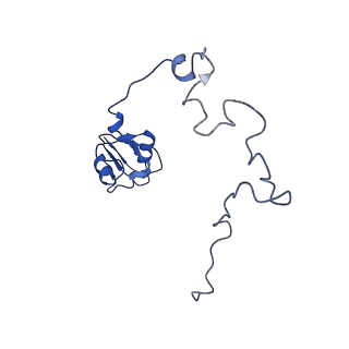 3493_5mdz_L_v1-3
Structure of the 70S ribosome (empty A site)