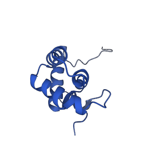 3493_5mdz_N_v1-3
Structure of the 70S ribosome (empty A site)