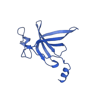 3493_5mdz_P_v1-3
Structure of the 70S ribosome (empty A site)