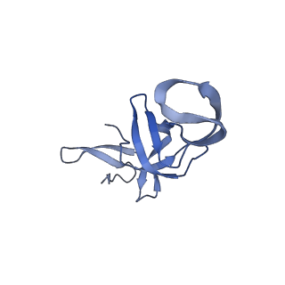 3493_5mdz_U_v1-3
Structure of the 70S ribosome (empty A site)